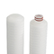 10&quot; cartuccia di filtro pieghettata pp dalla membrana per il trattamento delle acque ed i prodotti chimici fini